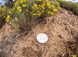  County Road 21 - Photo 10