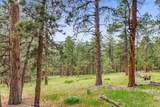 10250 Highway 73 - Photo 8