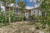 12895 Green Meadow Drive - Photo 48