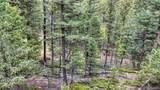 918 Pinon Lane - Photo 15