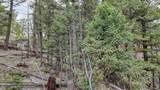 918 Pinon Lane - Photo 9