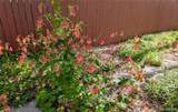 10645 Nucla Street - Photo 32