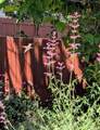 10645 Nucla Street - Photo 35