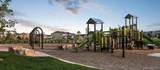 14475 Grape Way - Photo 46