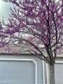 13703 Marina Drive - Photo 2