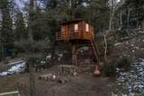 33755 Columbine Circle - Photo 20