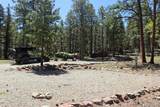 4213 Campfire Road - Photo 12