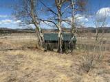 640 County Road 356 - Photo 5