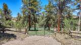 2338 Fitzsimmons Road - Photo 30
