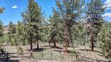 2338 Fitzsimmons Road - Photo 31