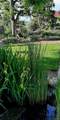 9795 Morrison Road - Photo 29