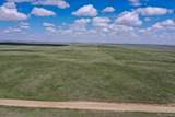 15585 County Road 166 - Photo 13