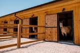 10589 County Road 102 - Photo 46