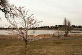 4544 Vrain Street - Photo 36