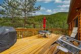 310 Wendelyn Way - Photo 11