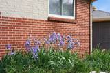 8664 Princeton Street - Photo 42
