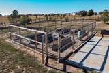 2503 Elkhorn Ranch Street - Photo 37
