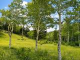 1001 County Road 86 - Photo 22
