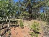 281 Pikes Peak Drive - Photo 3
