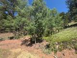 281 Pikes Peak Drive - Photo 4
