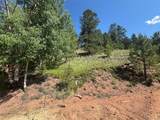 281 Pikes Peak Drive - Photo 5
