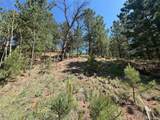 281 Pikes Peak Drive - Photo 8