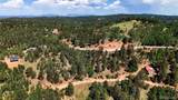 281 Pikes Peak Drive - Photo 10