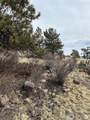 64 Bandana Road - Photo 3