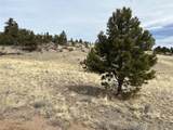 64 Bandana Road - Photo 6