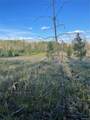  Forest Service Road 609 - Photo 7