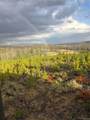  Forest Service Road 609 - Photo 8