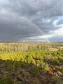  Forest Service Road 609 - Photo 9