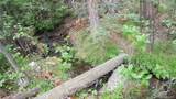 0 Ohio Gulch Trail - Photo 9