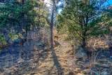 13240 Big Pine Ridge Road - Photo 35