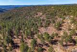 13240 Big Pine Ridge Road - Photo 48
