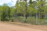 55 Aspen Way Drive - Photo 13