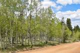 55 Aspen Way Drive - Photo 10