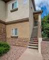 3864 Riviera Grove - Photo 2
