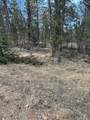 12887 Cindy Avenue - Photo 1