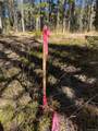 Lot 14X Wallace Avenue - Photo 30