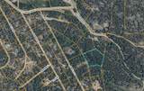 Lot 14X Wallace Avenue - Photo 39