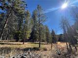 Lot 14X Wallace Avenue - Photo 7