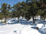 14905 Highway 141 - Photo 12