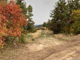 14840 Elk Mountain Trail - Photo 4