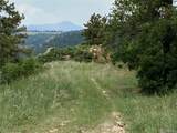 14840 Elk Mountain Trail - Photo 5