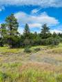 251 Rifle Place - Photo 13