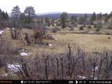 251 Rifle Place - Photo 19