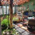 14628 Road 21 - Photo 8