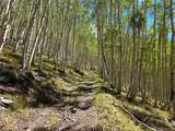 840 Forest Service Road 890 - Photo 12