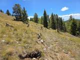 840 Forest Service Road 890 - Photo 14